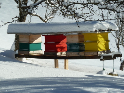 Unsere Bienen